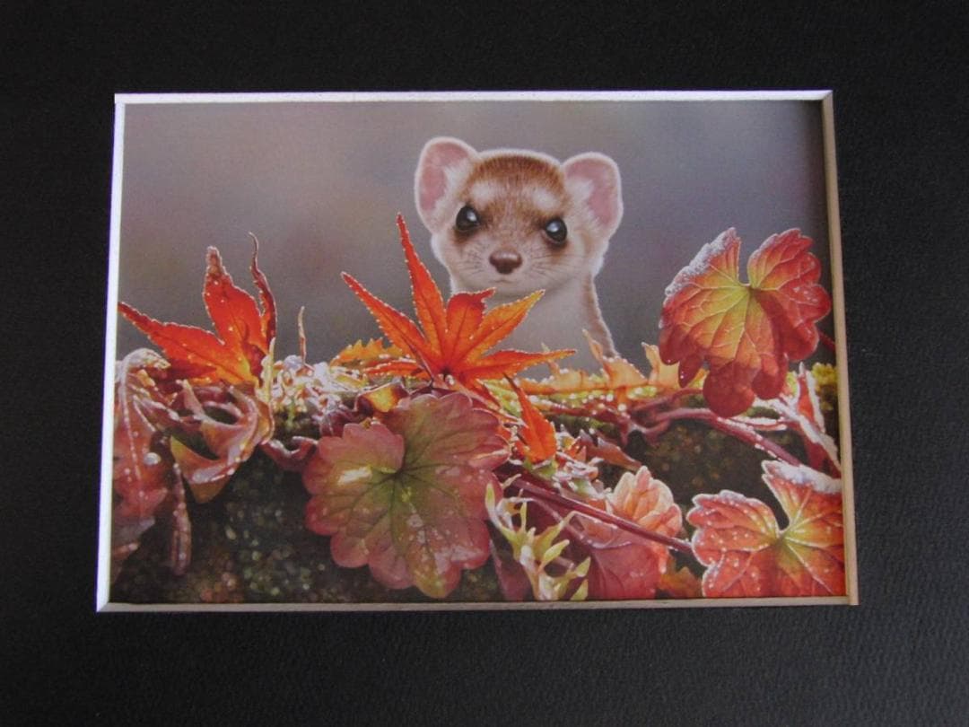 山地司、【オコジョ1】、希少な額装用画集より、状態良好、新品額装付