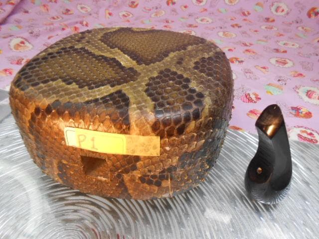 現品(送料無料)16.980円　沖縄三線専用　蛇皮強化(二重張)型チーガと水牛爪