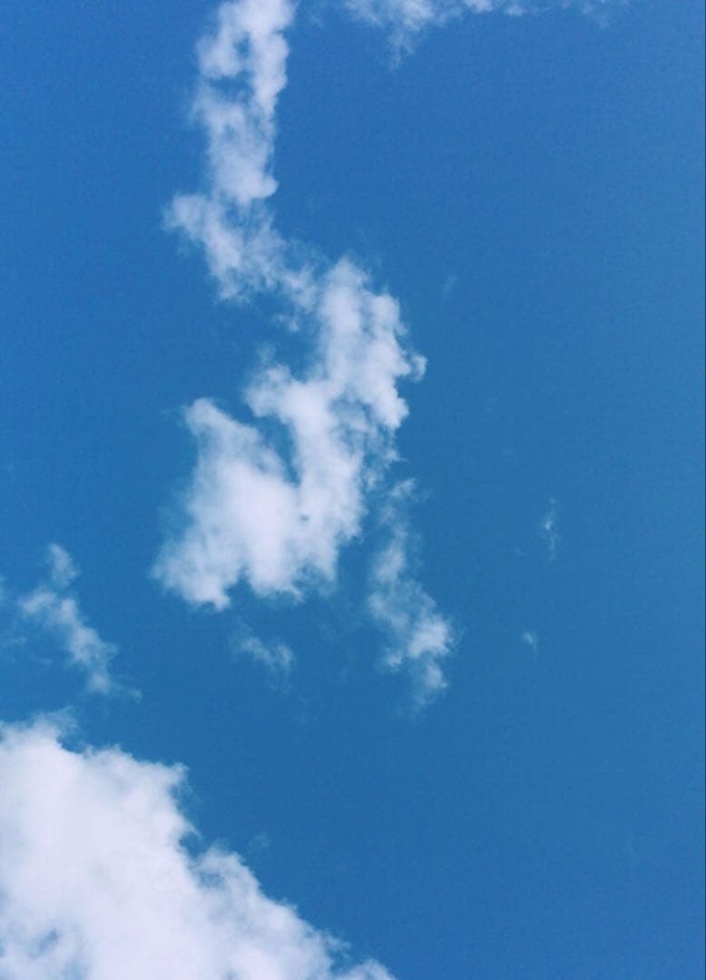 Mrs. GREEN APPLE 若井滉斗 グッズセット