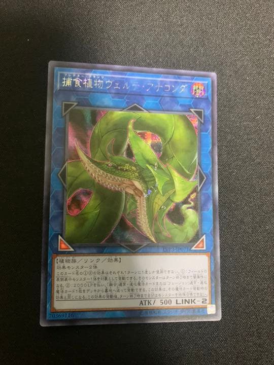 捕食植物ヴェルテアナコンダ　アジア　シク アジア】捕食植物ヴェルテアナコンダ/シークレット/LVP3-JP071 | minny