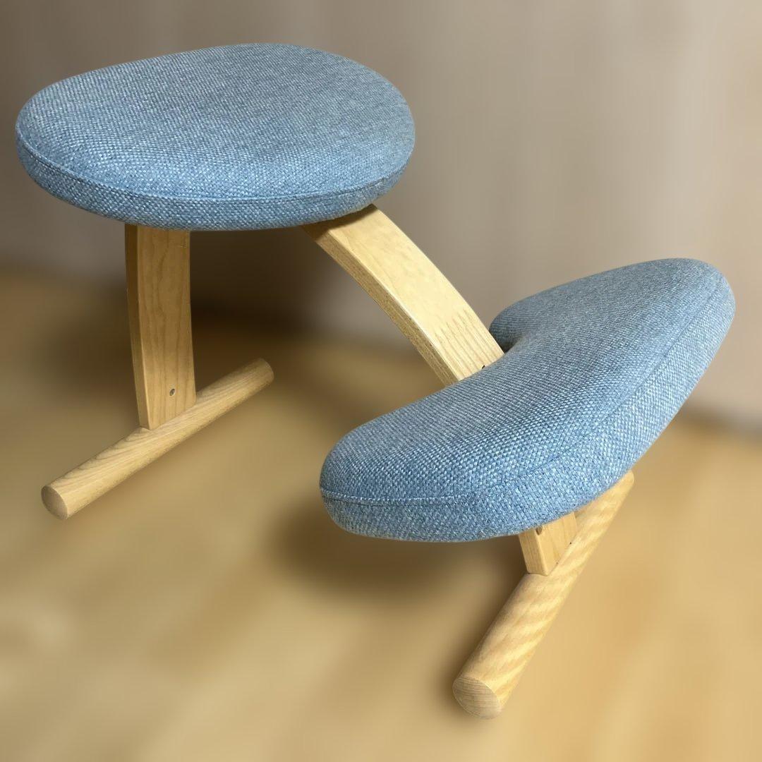 姿勢矯正チェア 青色 布地 楽天市場】姿勢矯正 椅子 座るだけ腰が痛くならないクッション