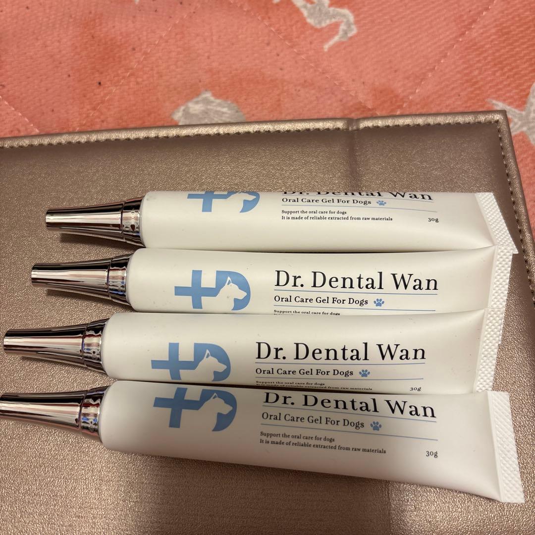 Dr. Dental Wan オーラルケアジェル 4本セット