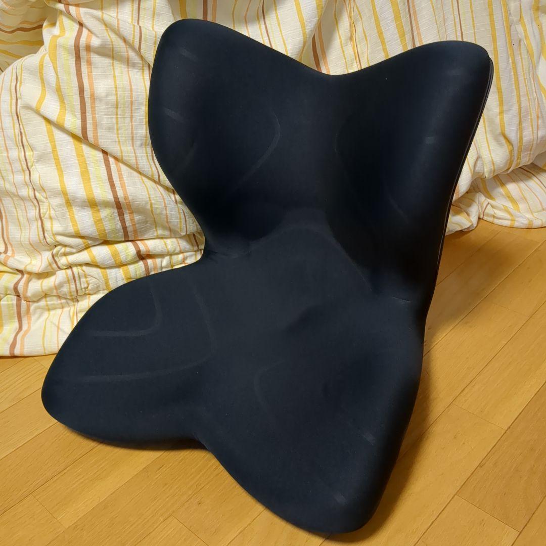 MTG Style PREMIUM スタイルプレミアム 姿勢矯正