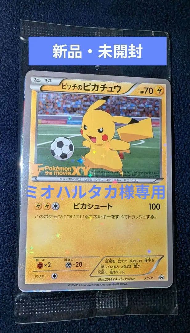 XY-P ピッチのピカチュウ_Jリーグ「ファミリー Joinデイズ」 PROM