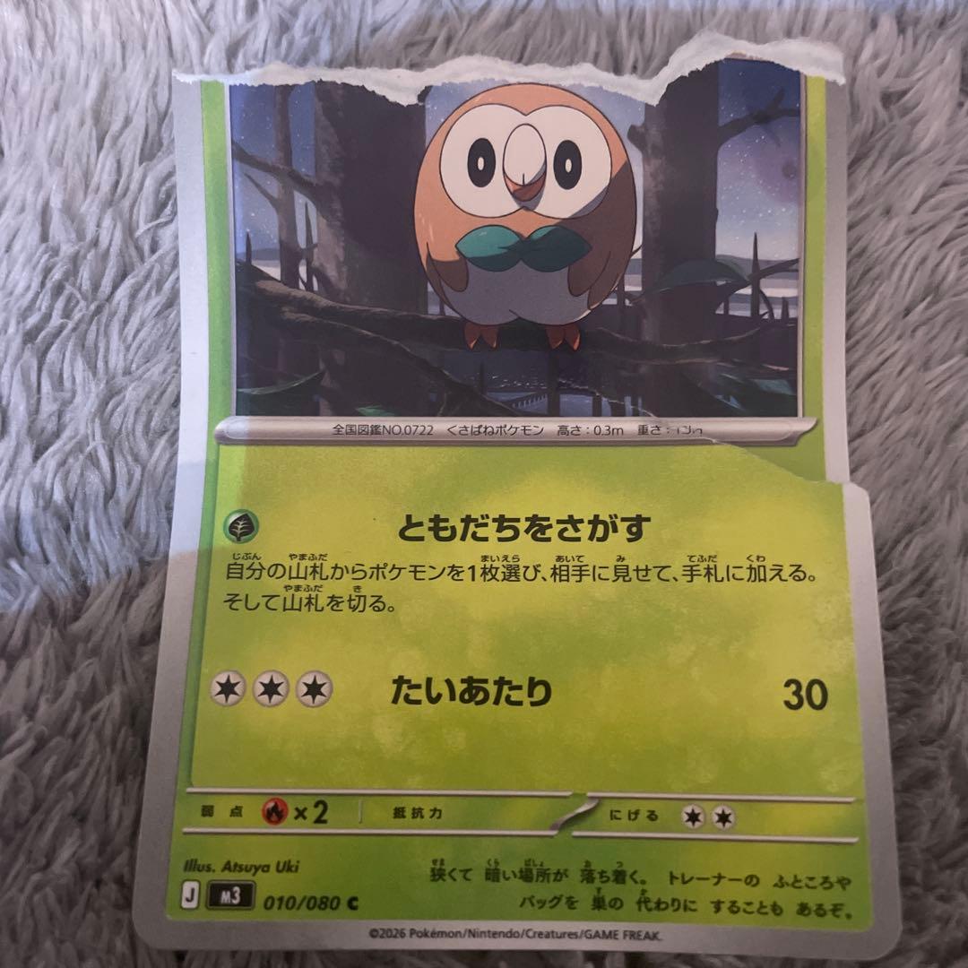 やぶれたモクロー