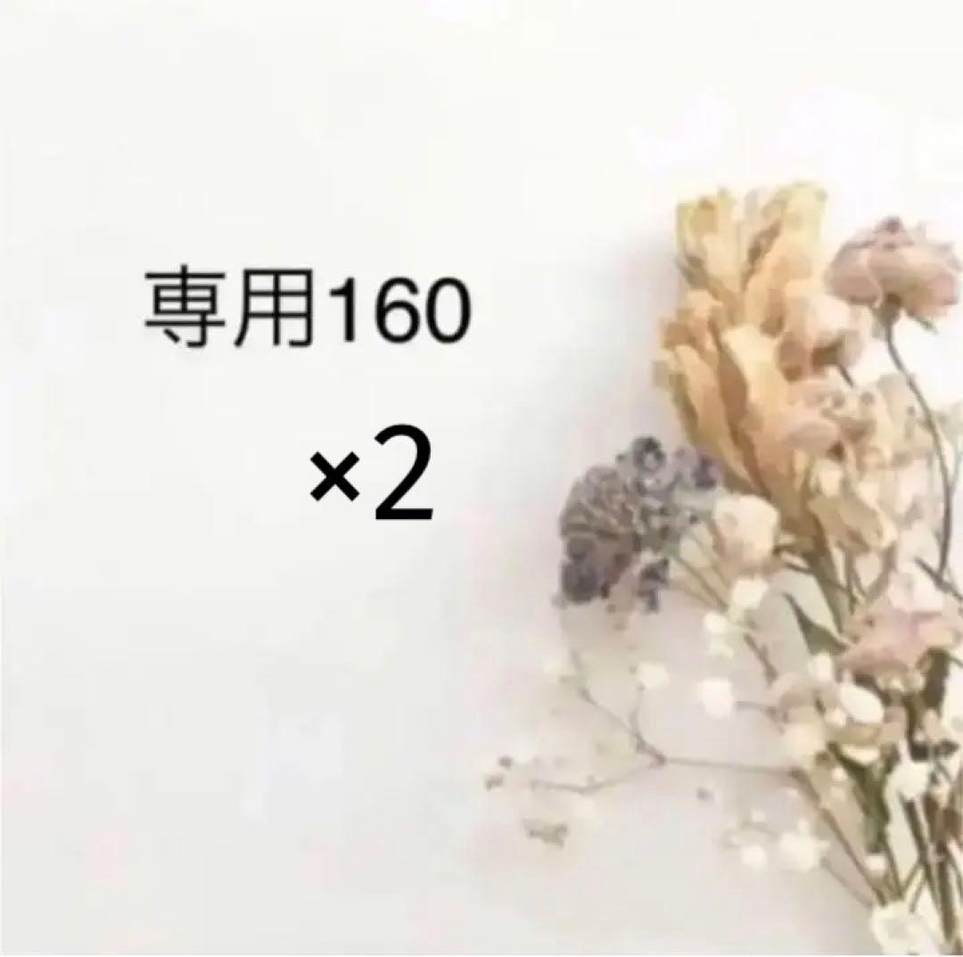 専用ページ160粒×2