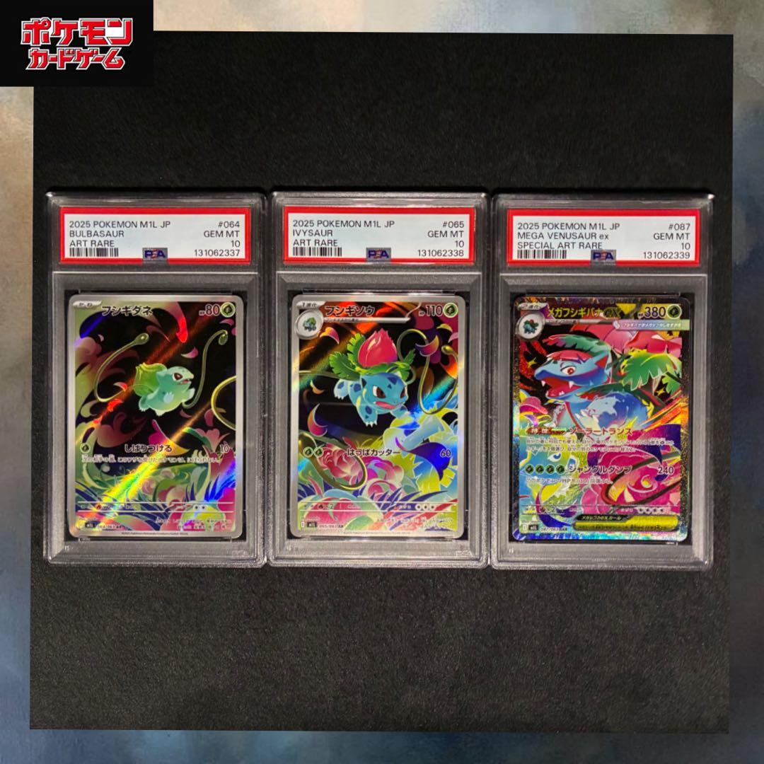 【PSA10 3連番】メガフシギバナex フシギソウ フシギダネ SAR AR フシギダネ フシギソウAR メガフシギバナex SAR PSA10 3連番 - メルカリ
