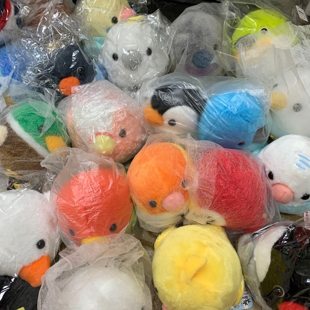 ことり隊　スタンダード　ぬいぐるみ　31点