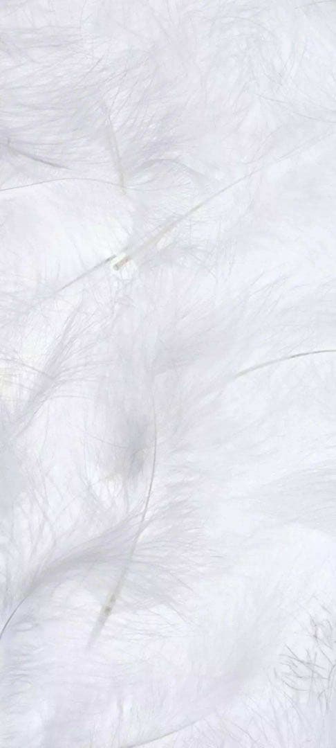 スニーカーマニア Shop Grey Mens Zx 22 Boost Lace Up Sneakers – Shoebacca