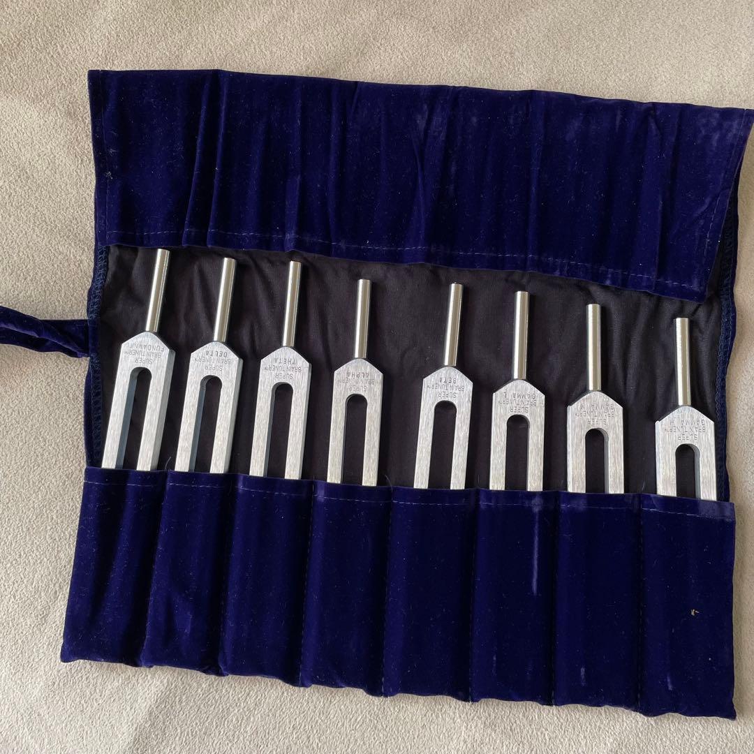 【値下げ】BIOSONICS社製 スーパー ブレイン チューナー