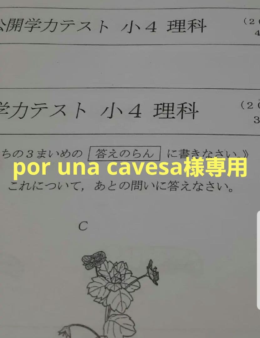 語学・辞書・学習参考書 por una cavesa 例解小学国語辞典・例解小学漢字辞典 コウペンちゃんパック | 三省堂
