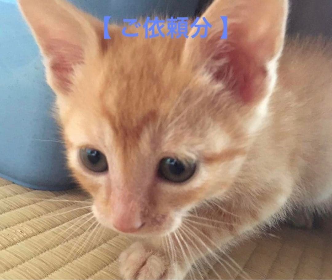 【 さかい 様 】