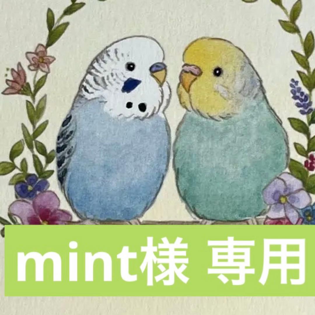 mint ONENESS_0002_ADIDAS-