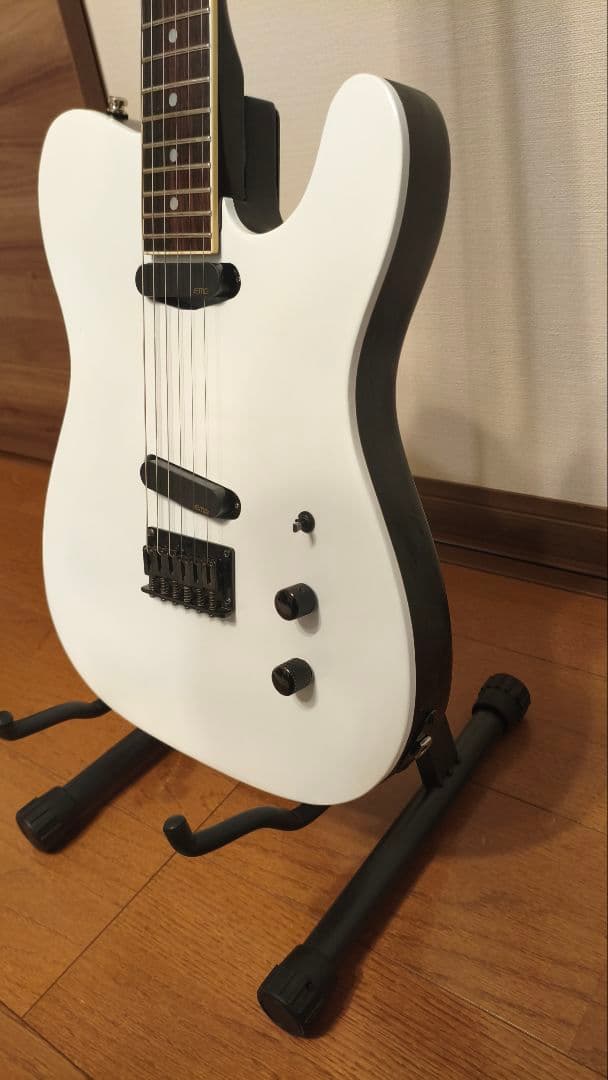 FERNANDES TEJ-70再生リメイク EMG-SA搭載 白黒 布袋モデル