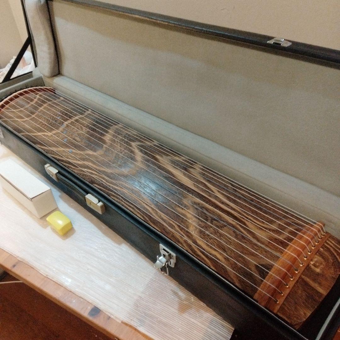 【美品】Neo-Koto ネオ琴 13弦 専用ケース付き