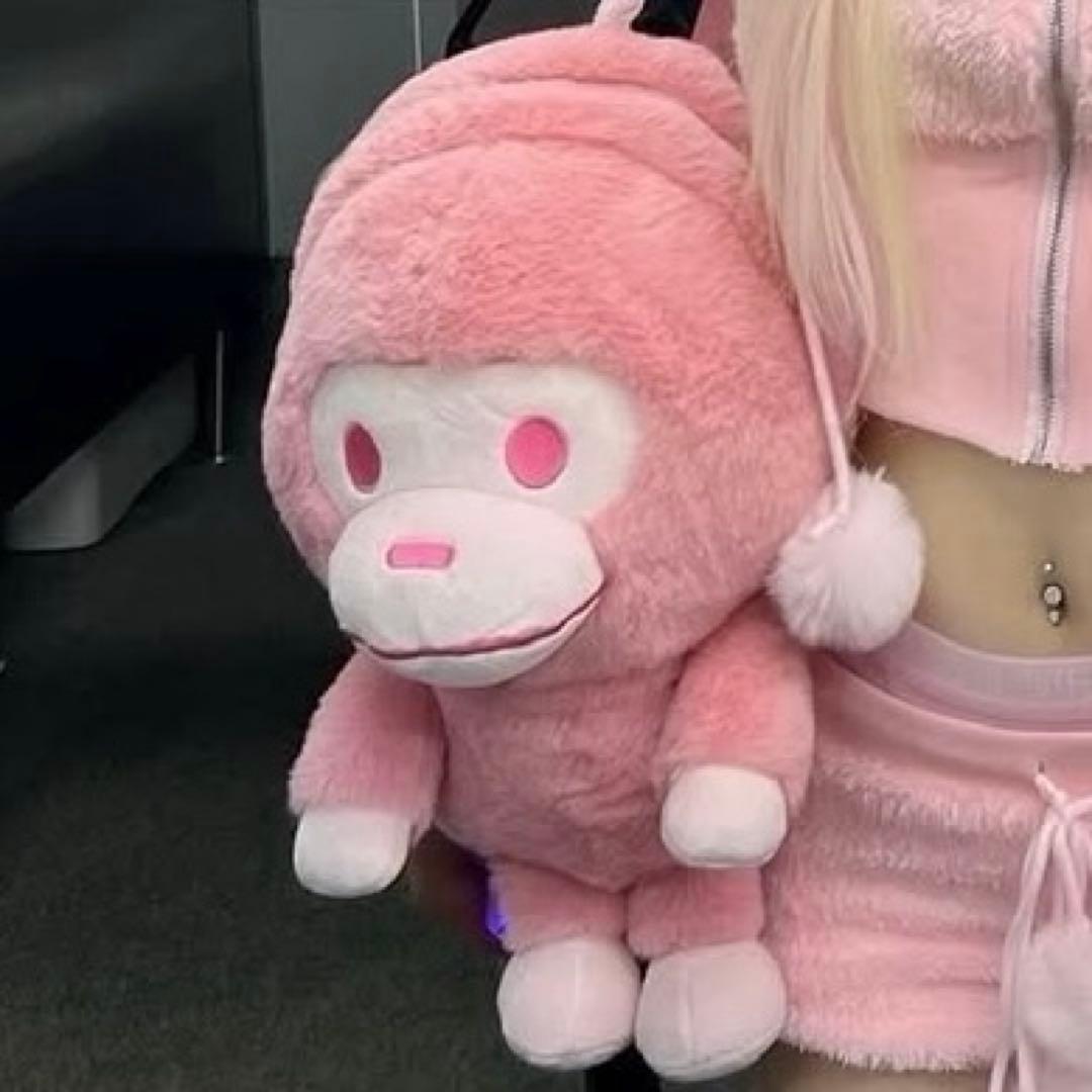 マイロリュック