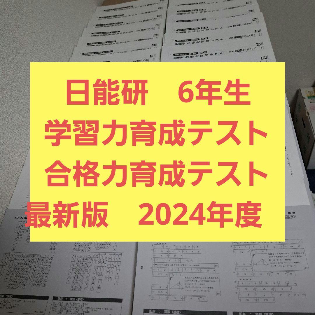 日能研 6年生 2024年度 学習力育成テスト 合格力育成テスト 【難関