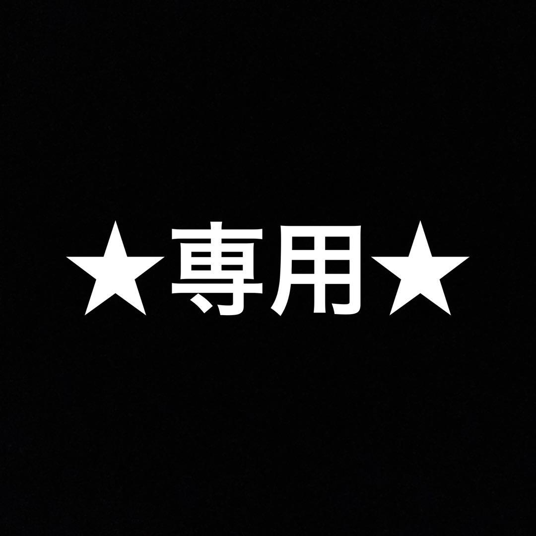 ★専用★ 【新品未使用】Rinnai ガス衣類乾燥機専用台 DS-80HSF リンナイ（Rinnai） ガス衣類乾燥機用 専用台（高） DS-80HSF (22-1160