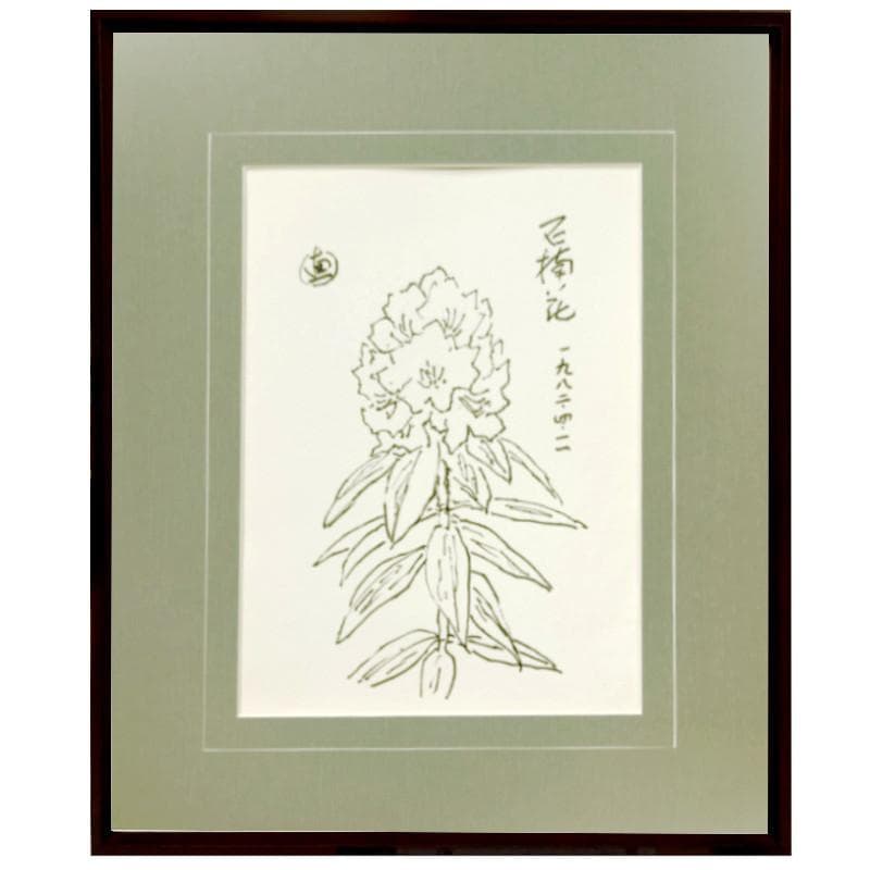 ☆坂本直行☆「 石楠花（しゃくなげ）」ペン画　大衣　未使用!