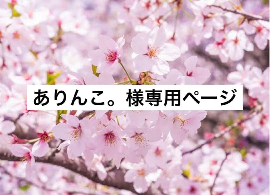 MTステムローションミニボトル12本