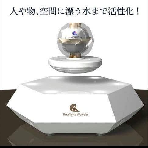 テラファイトワンダー