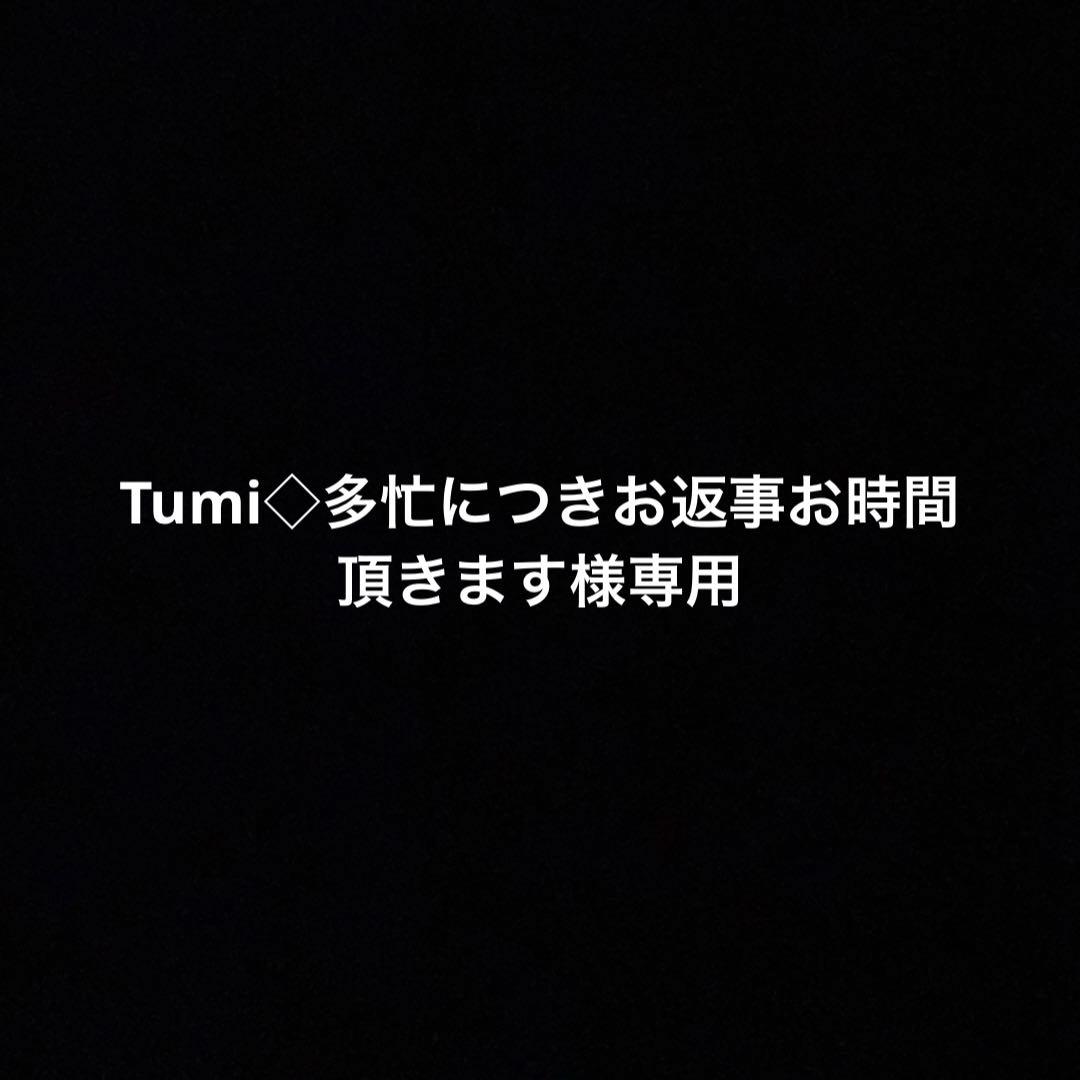 Tumi◇多忙につきお返事お時間頂きます