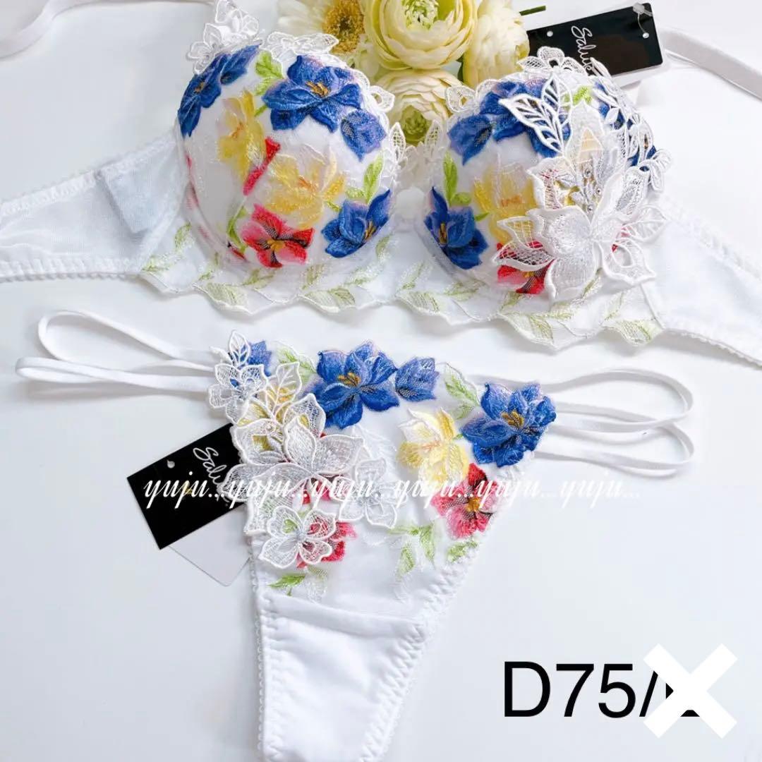 ワコール/サルート 46グループ マダガスカル p-upブラソング D75 WH