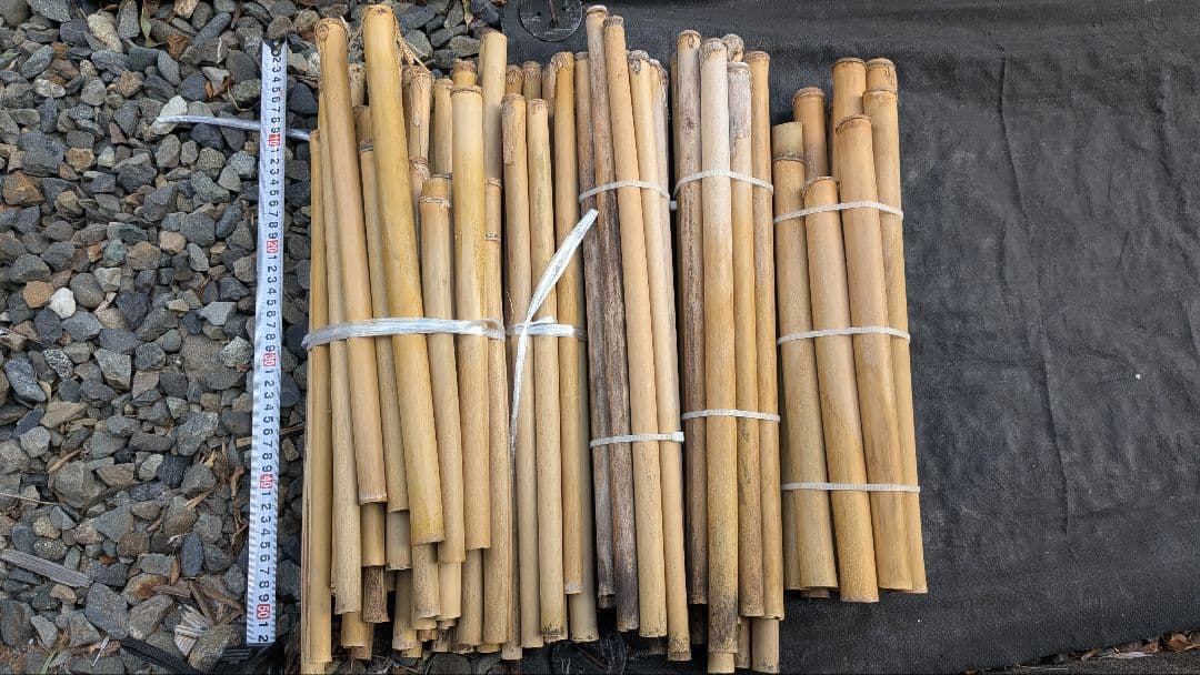 篠笛素材 篠竹 女竹７０本まとめ売り。今季最後