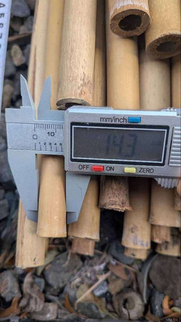 篠笛素材 篠竹 女竹70本まとめ売り。今季最後 - メルカリ