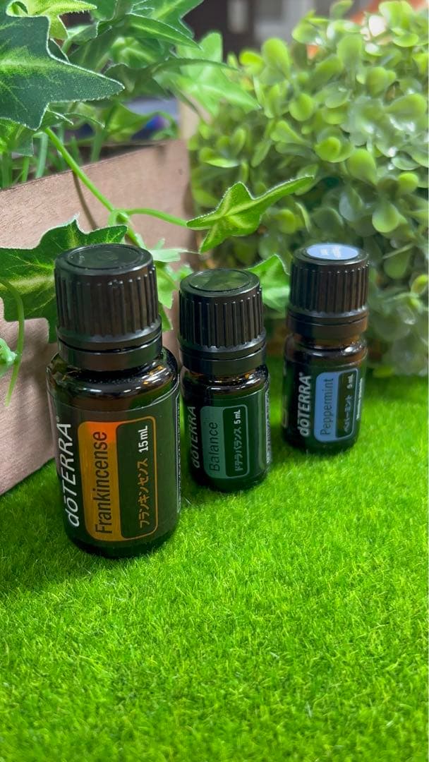 【SALE】新品　ドテラ　フランキンセンス　ペパーミント　バランス doTERRA（ドテラ） フランキンセンス 15ml doTERRA : お宝オンライン