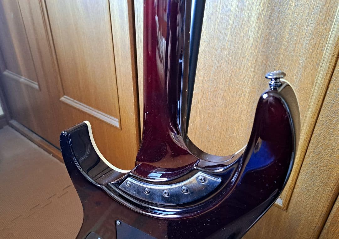 貴重/生産終了】Washburn PXS10FRDLXWB-D - メルカリ