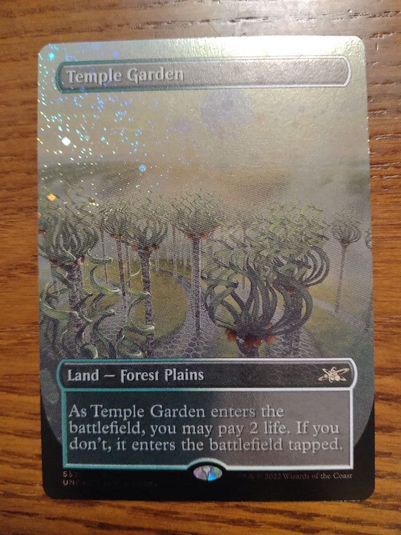 寺院の庭　ギャラクシーfoil