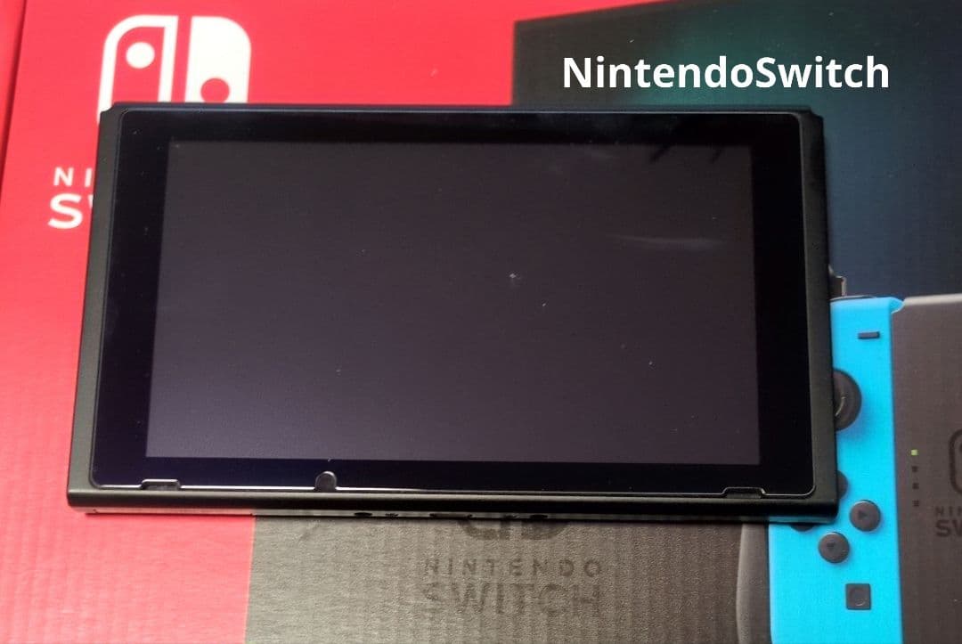 おかやどかり　　　Nintendo Switch 箱なし