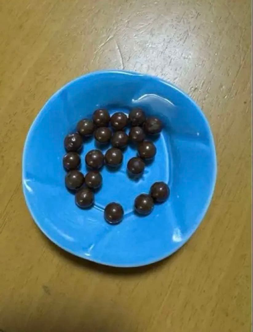 ワールドレップサービス　 アースボールグリーン20粒