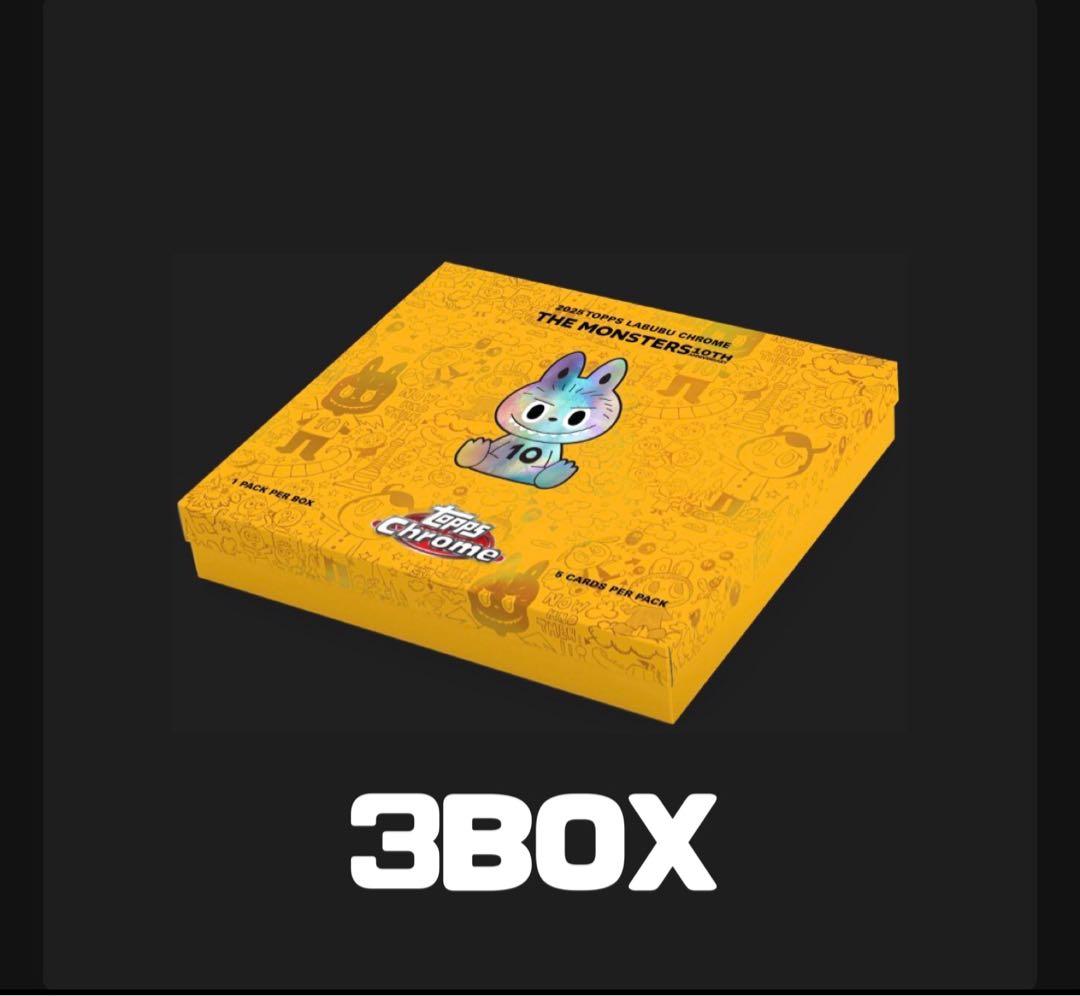 その他 Labubu 10th Anniversary Box