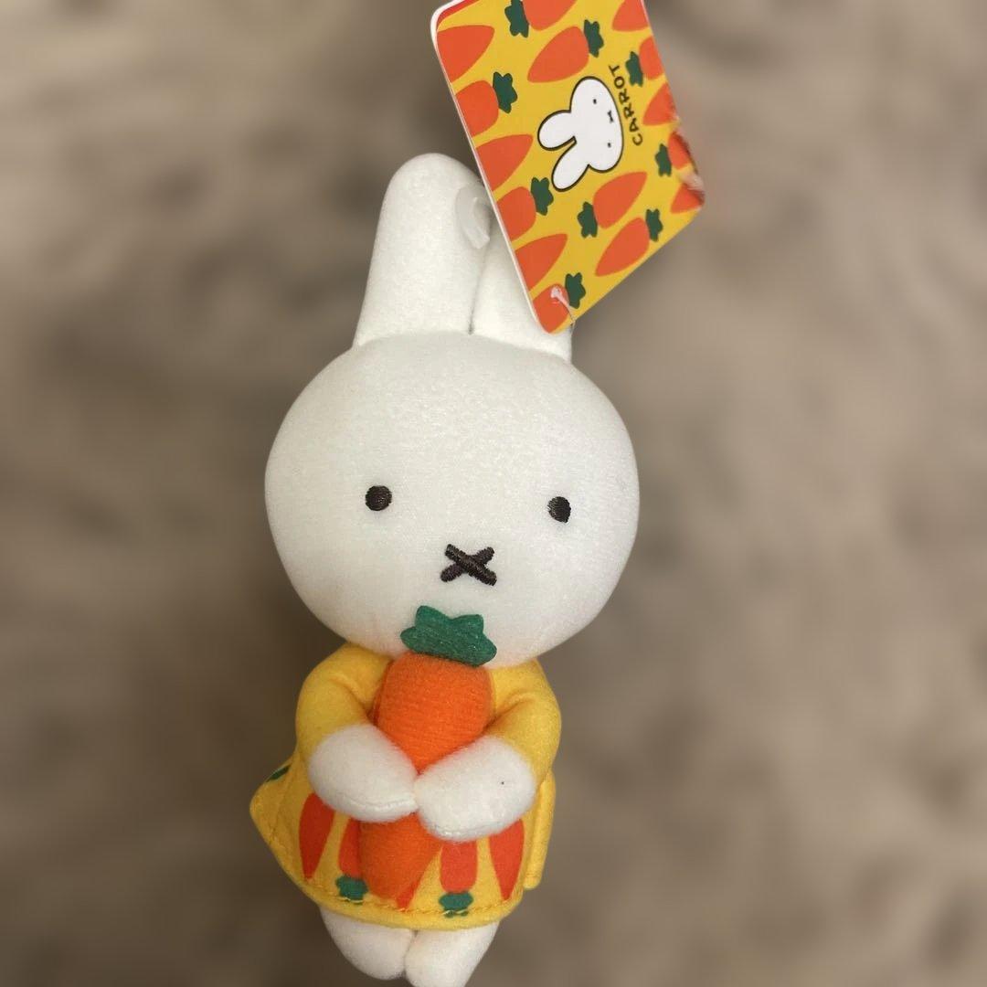 エ*ン様 ミッフィーちょっこりさんにんじん