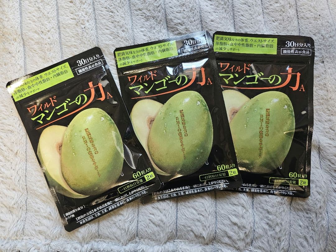 亀山堂 ワイルドマンゴーの力A 60粒 ×3袋