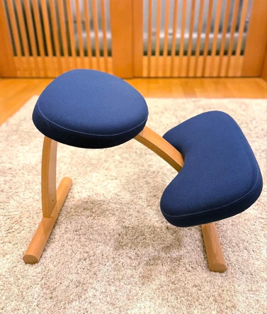 【美品】サカモトハウス バランスチェア イージー ネイビー バランスラボ 椅子