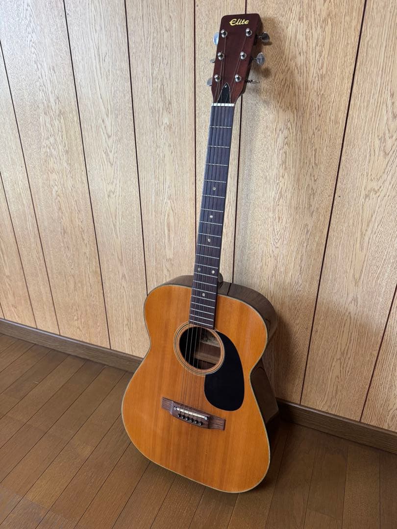 Elite Takamine アコースティックギター F120