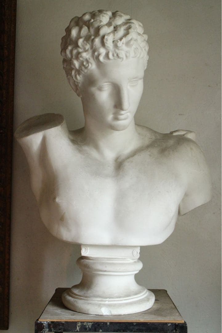 T781 石膏像ヘルメス胸像 デッサン用 ディスプレイ 白 高さ約79