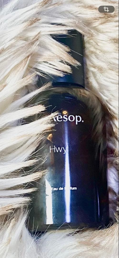 Aesop Hwyl ヒュイル 50ml