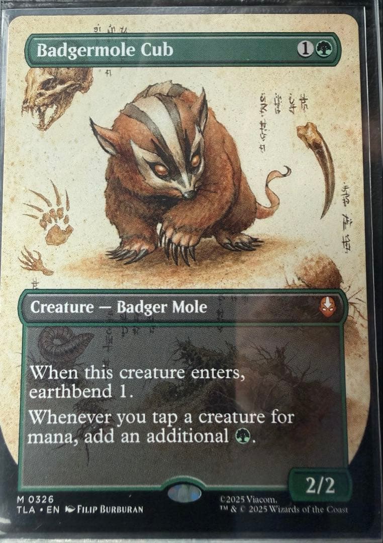 MTG アナグマモグラの仔/Badgermole Cub アナグマモグラの仔 (Badgermole Cub) · Avatar: The Last Airbender