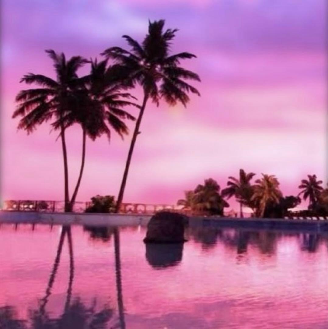 ぺもの パタゴニア Patagonia メンズ・ナノ・パフ・ベスト（メンズ）84242