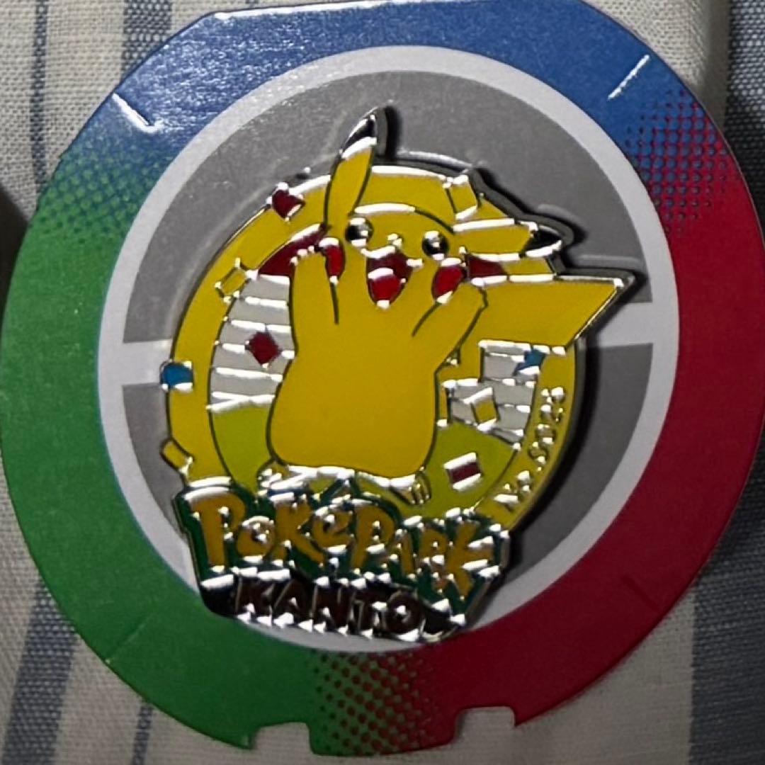 ポケパークカントー 0025 ピカチュウ　ピンズ ポケモン