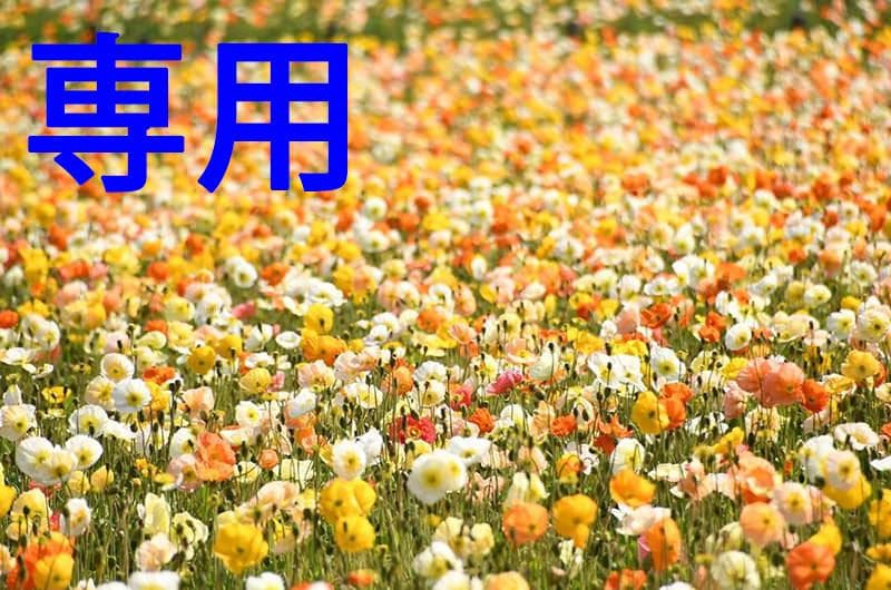 ころもちさん専用