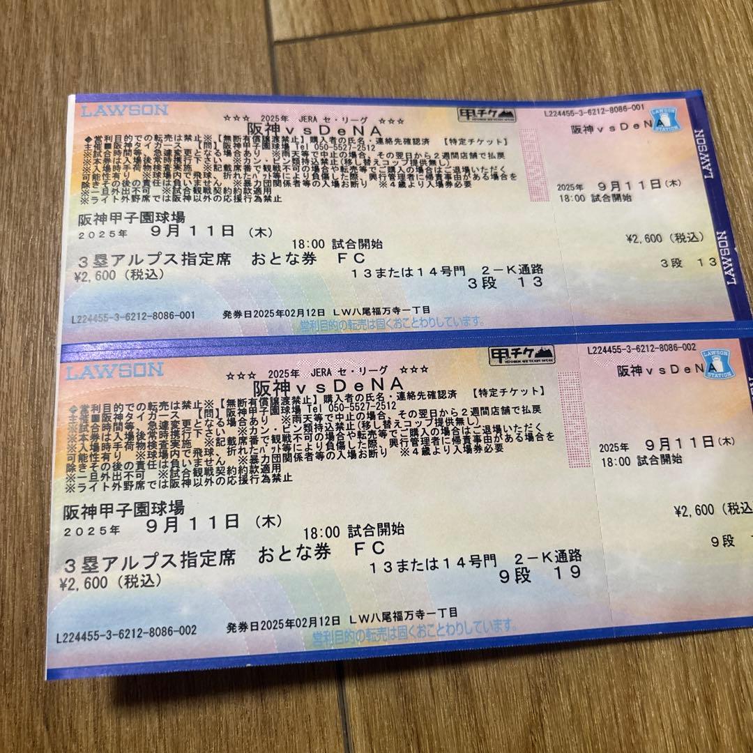 阪神タイガース3塁アルプス　9/11分　こちらは専用です。 阪神タイガース3塁アルプス 9/11分 こちらは専用です。 阪神甲子園球場