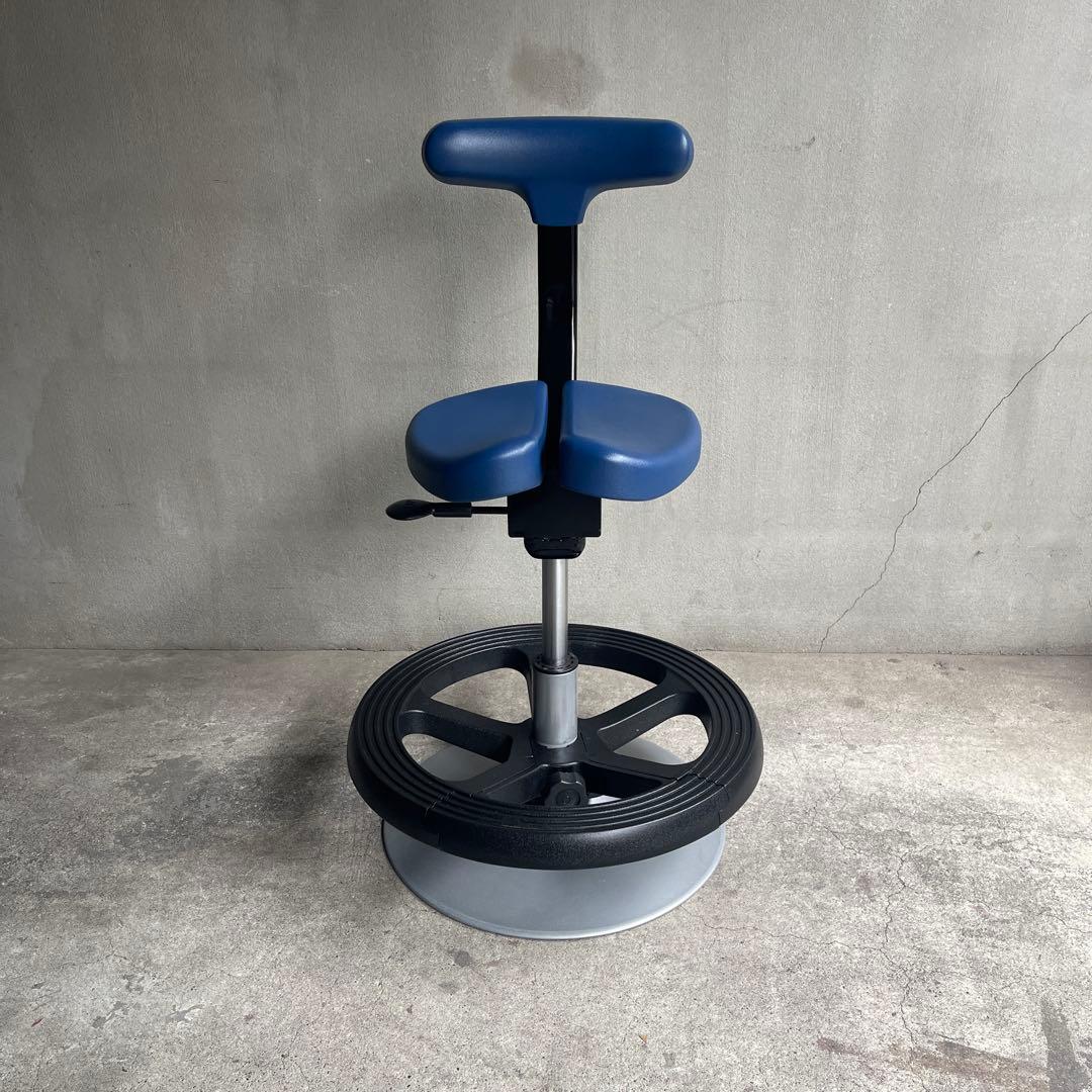 ayur chair アーユルチェア ルナ　足置きリング付　丸ベースタイプ 丸ベースタイプ ルナ｜腰痛対策・姿勢改善椅子、学習椅子（イス