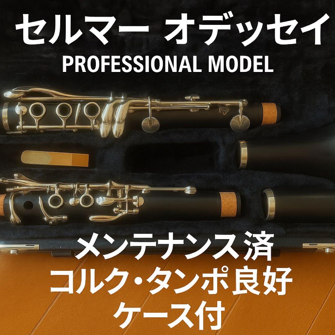 セルマー B♭クラリネット プロフェッショナルモデル｜吹奏感良好メンテ済ケース付 H.Selmer シグネイチャー B♭クラリネット セルマー 【 イオンレイク