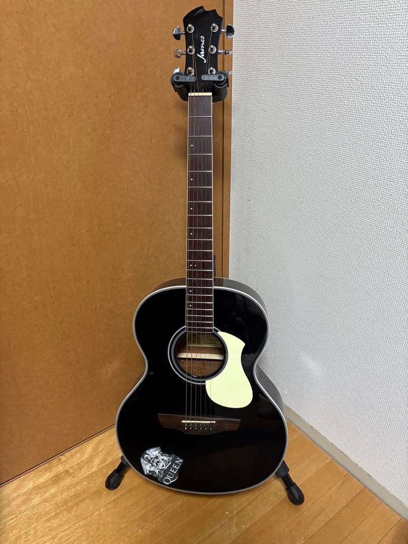 J-450A/Ova アコースティックギター James J-450A/Ova Natural アコースティックギター ジェームス