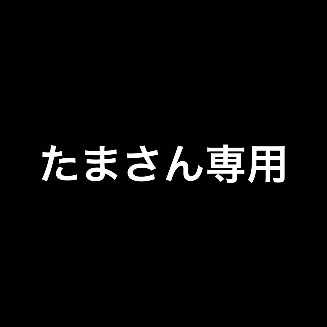 亀三種　ゾウ